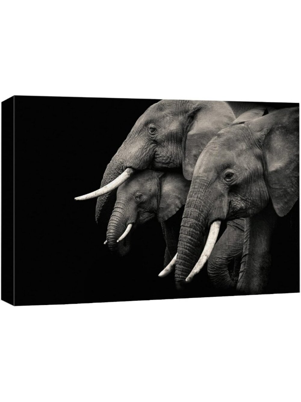 Duotone Dark Elephant Family Canvas Art - Nature Photography Wall Decor 32"x48